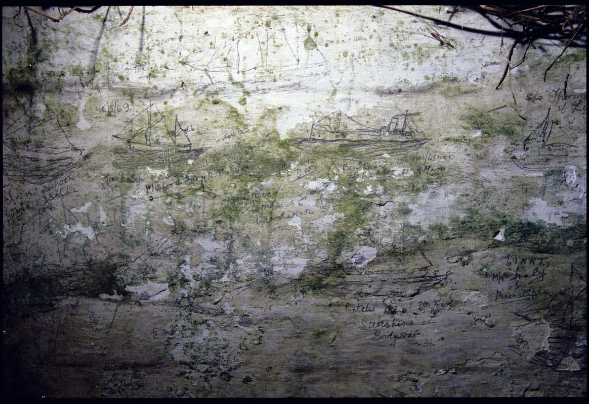 Graffitied tŷ bach in a garden in Trefin, negative