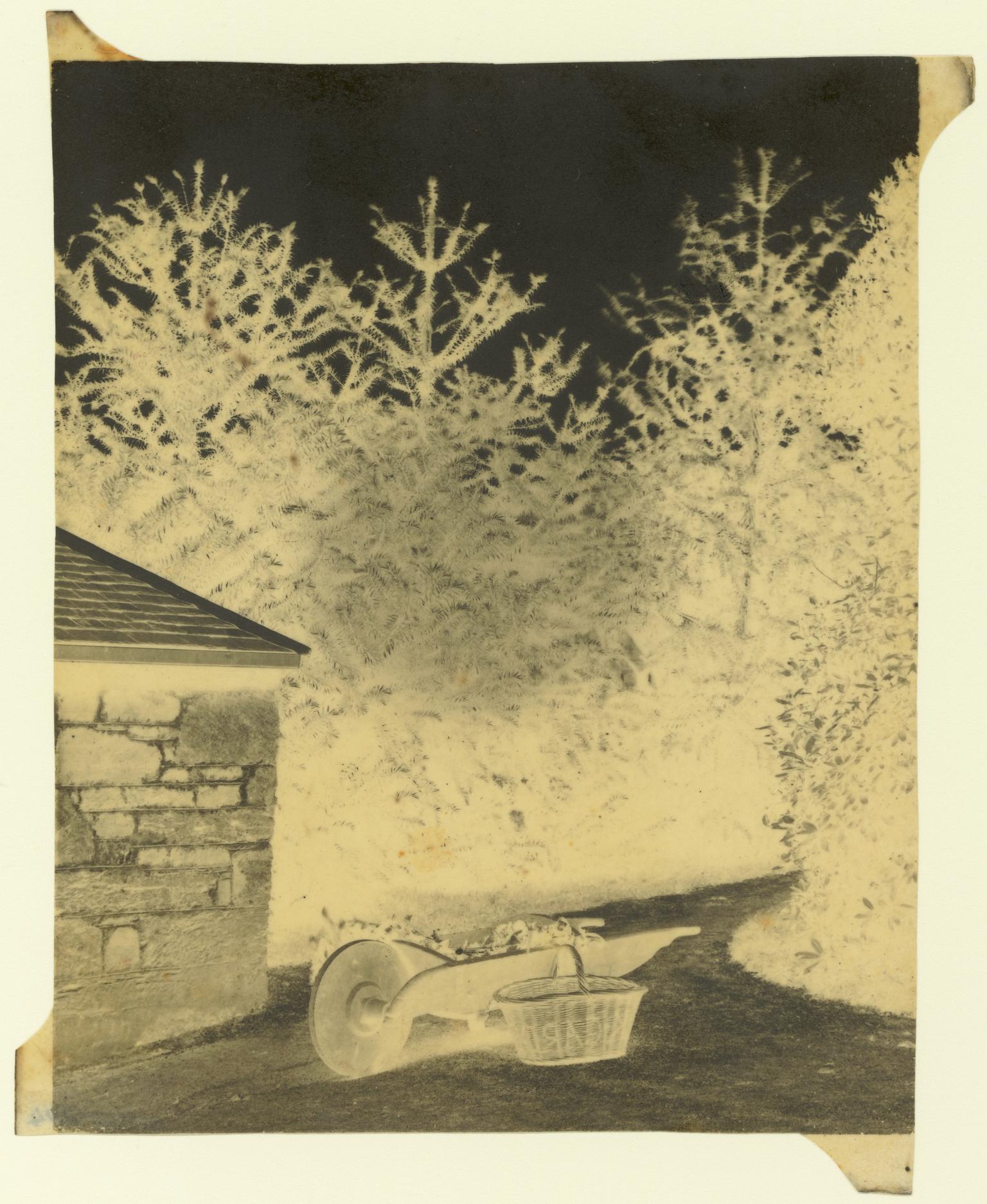 Carclew, paper negative