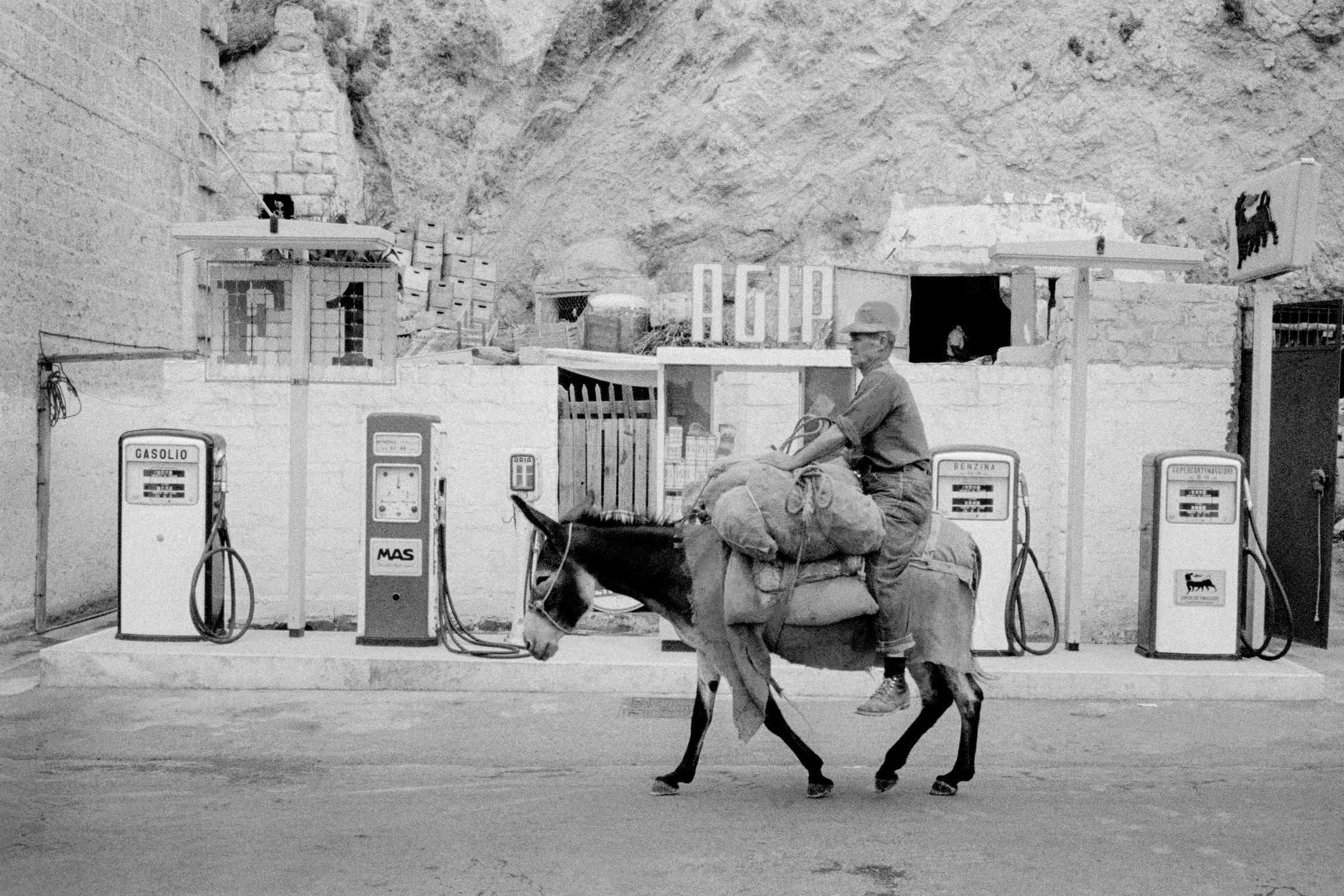Donkey v petrol contrasts in transport. Ponza. Italy