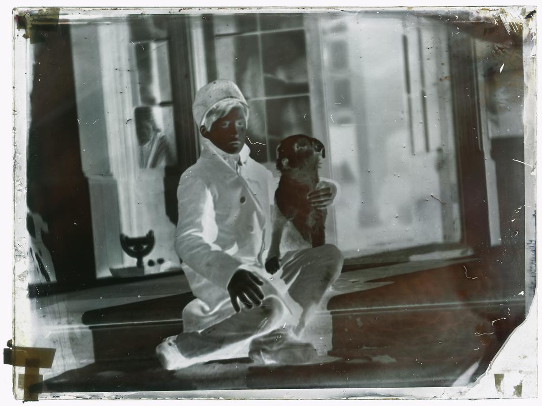Willy with Mustard, glass negative