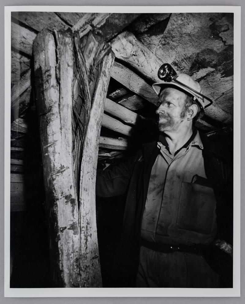 Deputy inspecting distressed timber in the stables, Wyndham Western Colliery.