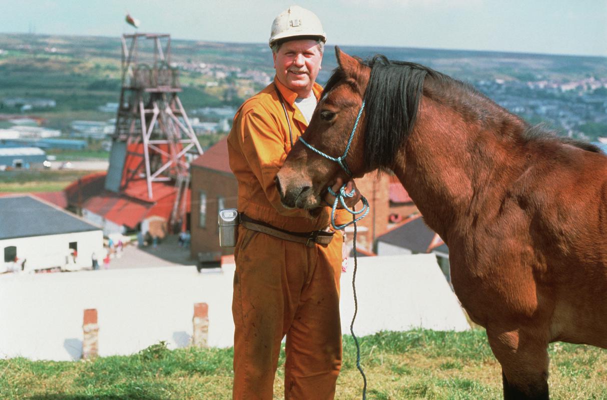 Miner guide with horse, Big Pit headgear in background