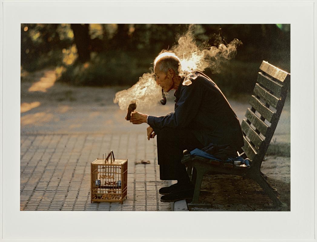 Old man with his pet bird in Ritan Park. Beijing, China.