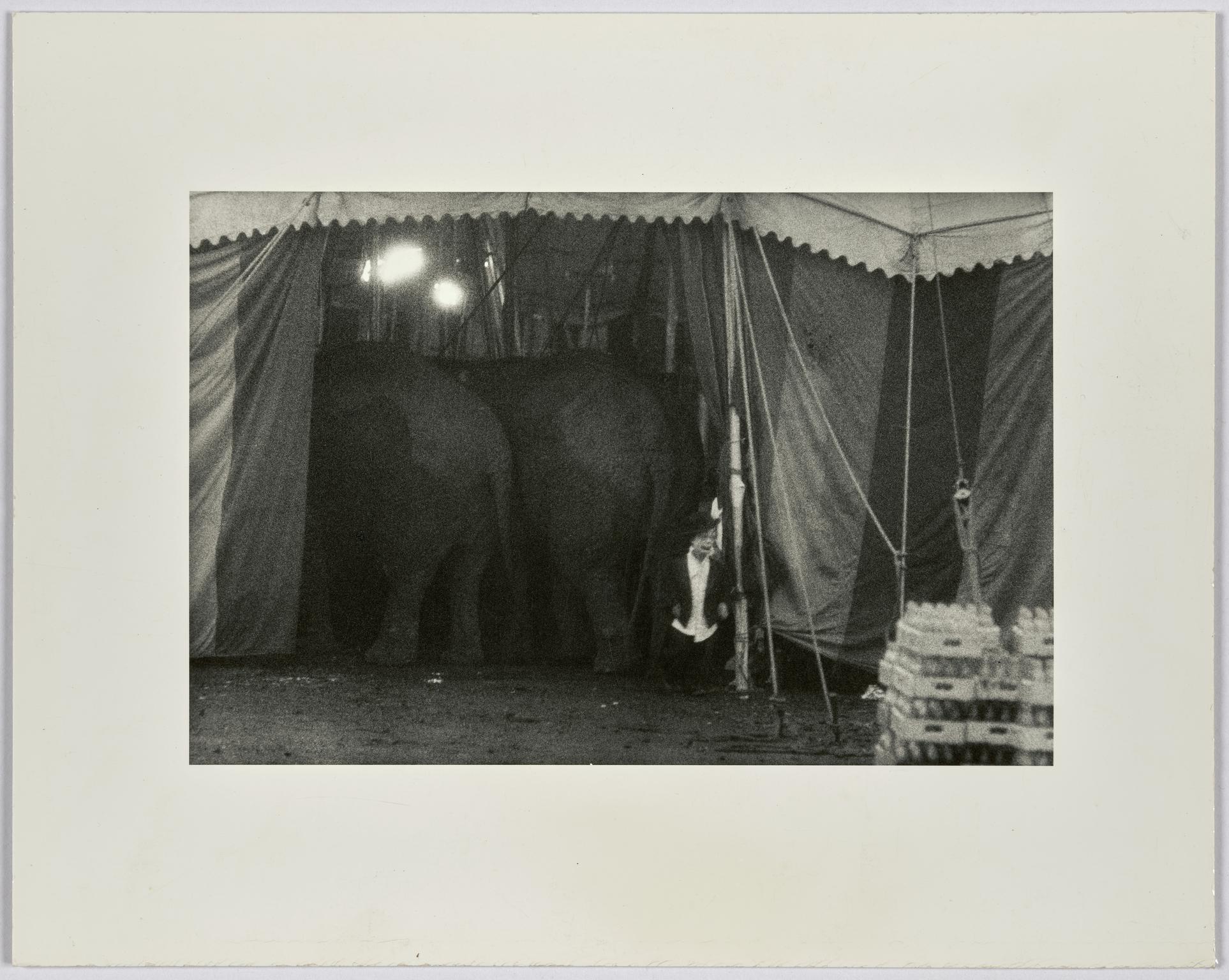 Beatty-Cole-Hamid Circus at Palisades Amusement Park. Jimmy Armstrong