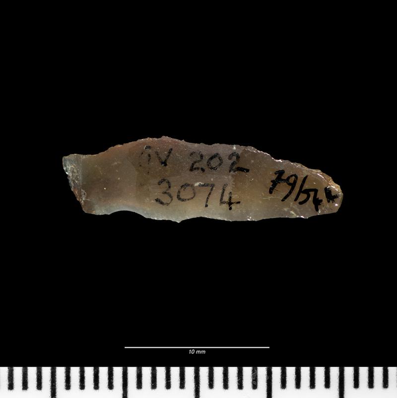 Mesolithic flint microlith