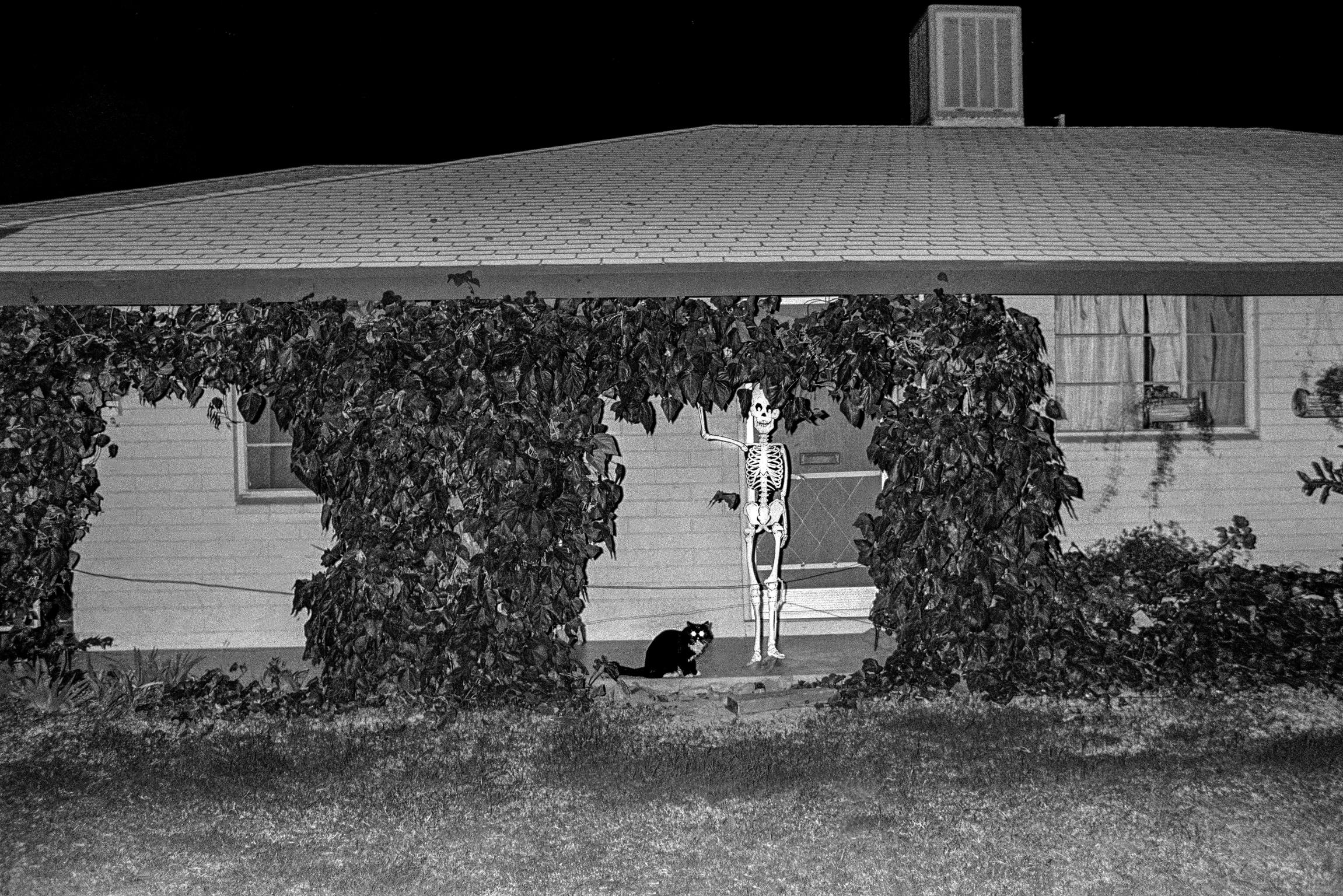 Surreal pair guard a house during Halloween in Tempe, Arizona USA