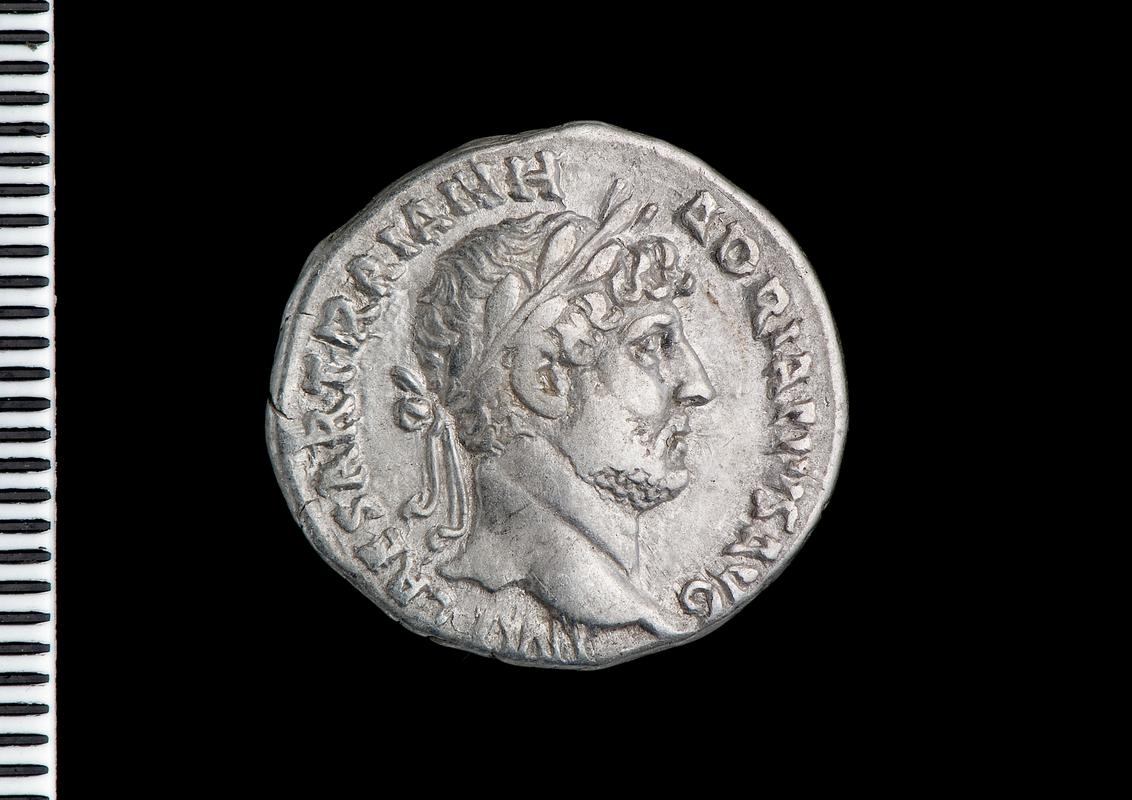 silver denarius (obv.)