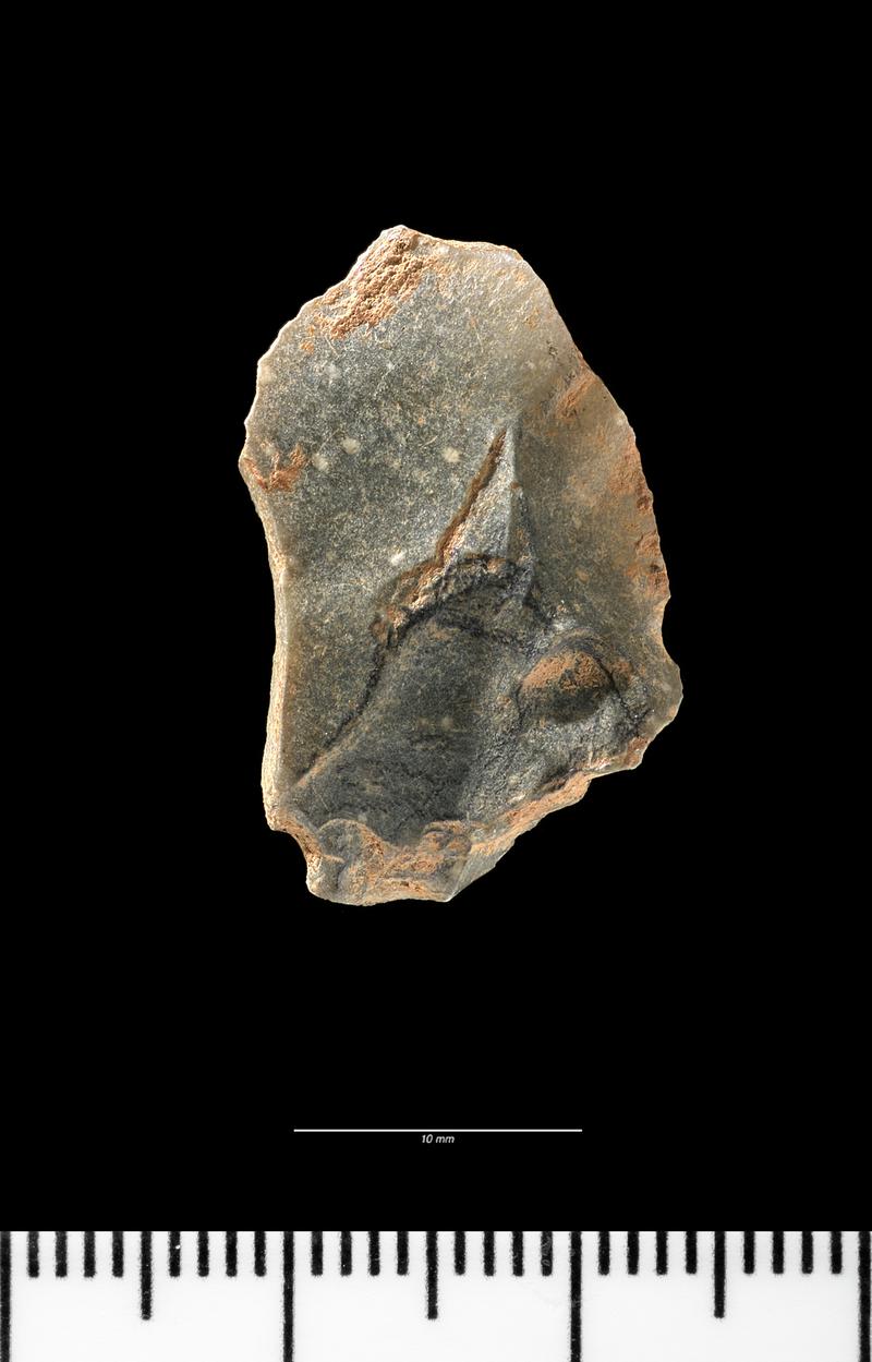 Middle Palaeolithic stone handaxe trimming flake. Dorsal surface