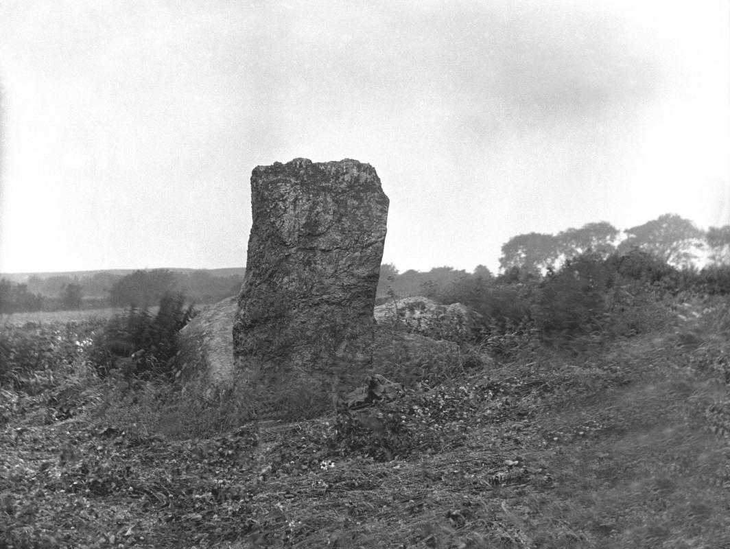 Glass plate negative; Hendrefor chambered tomb