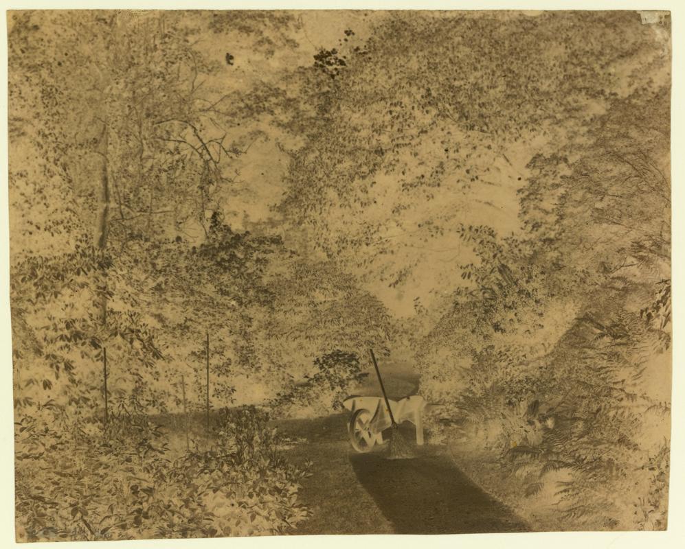 Penllergare, garden, negative