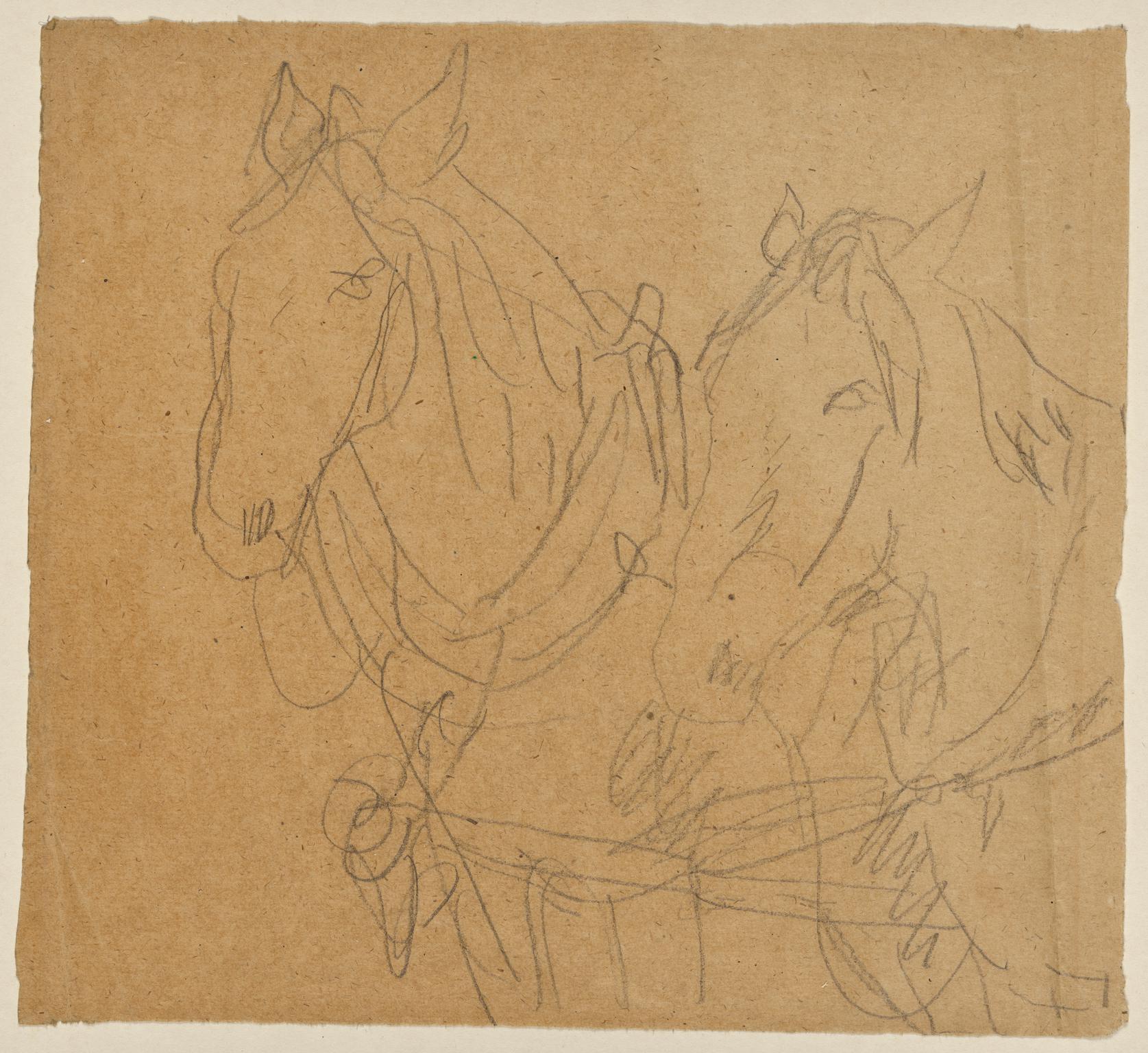 Horses in harness