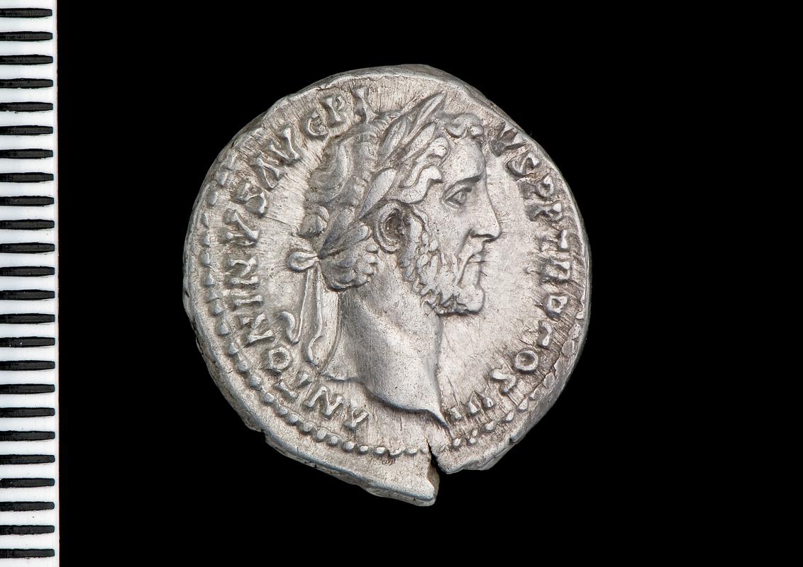 silver denarius (obv.)