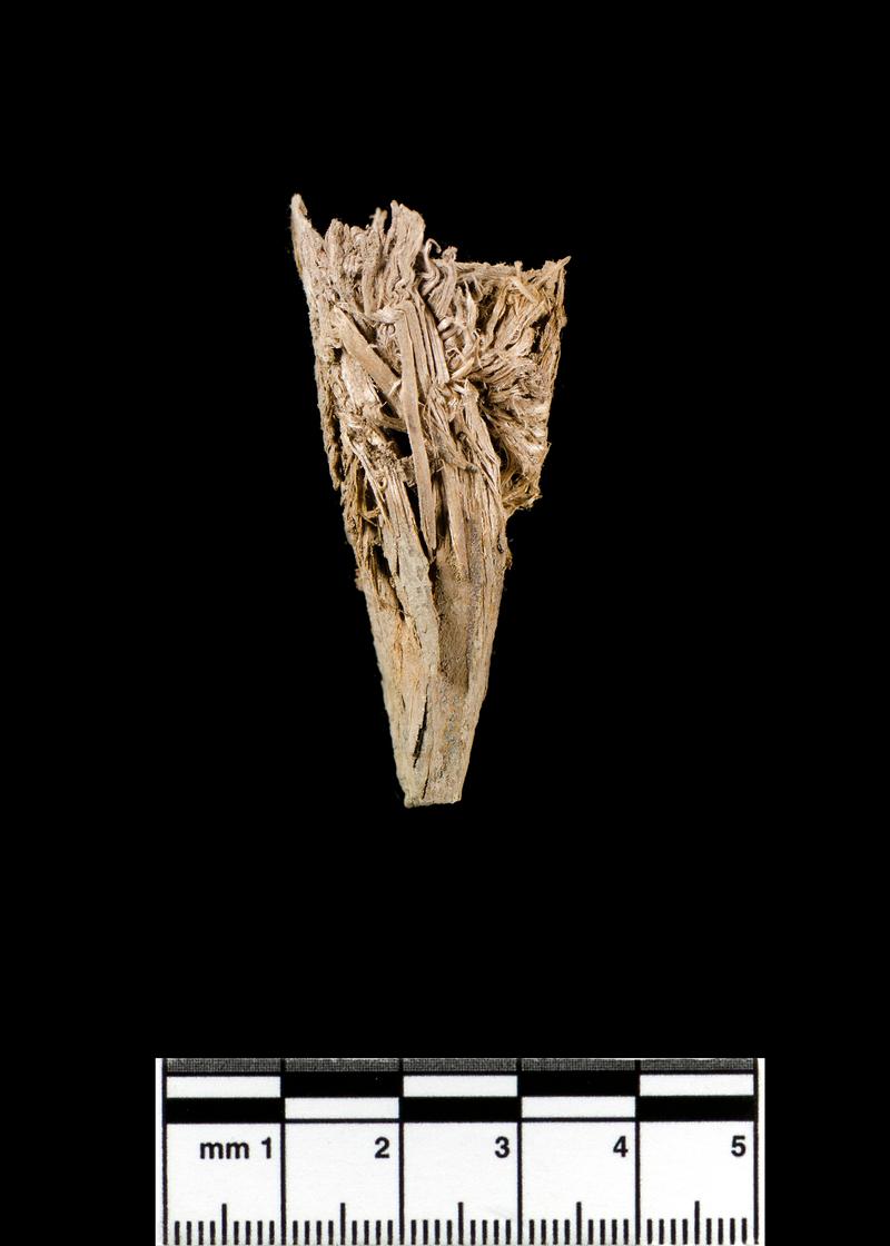 Late Bronze Age wood sample