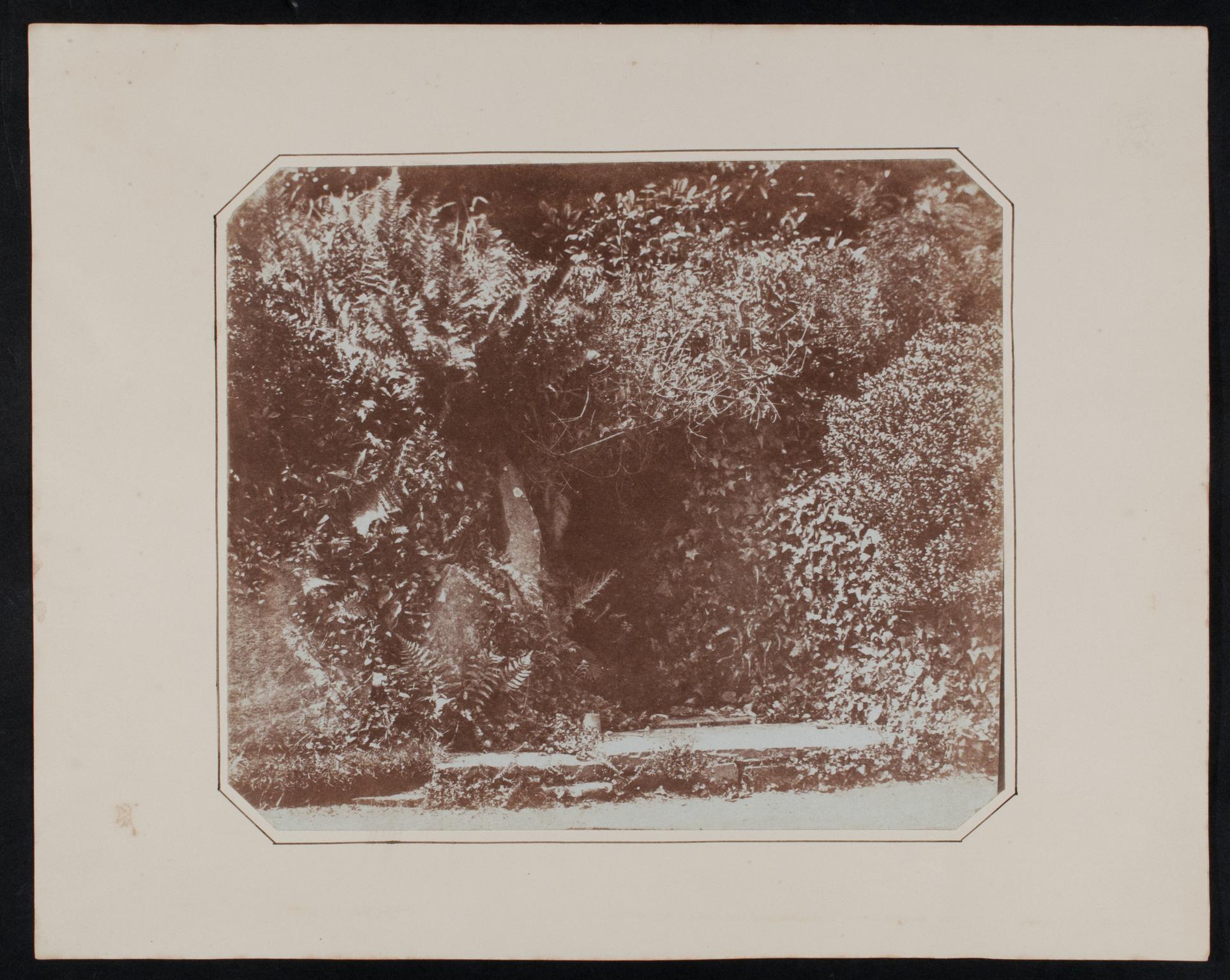 Penllergare, well and rockery, photograph