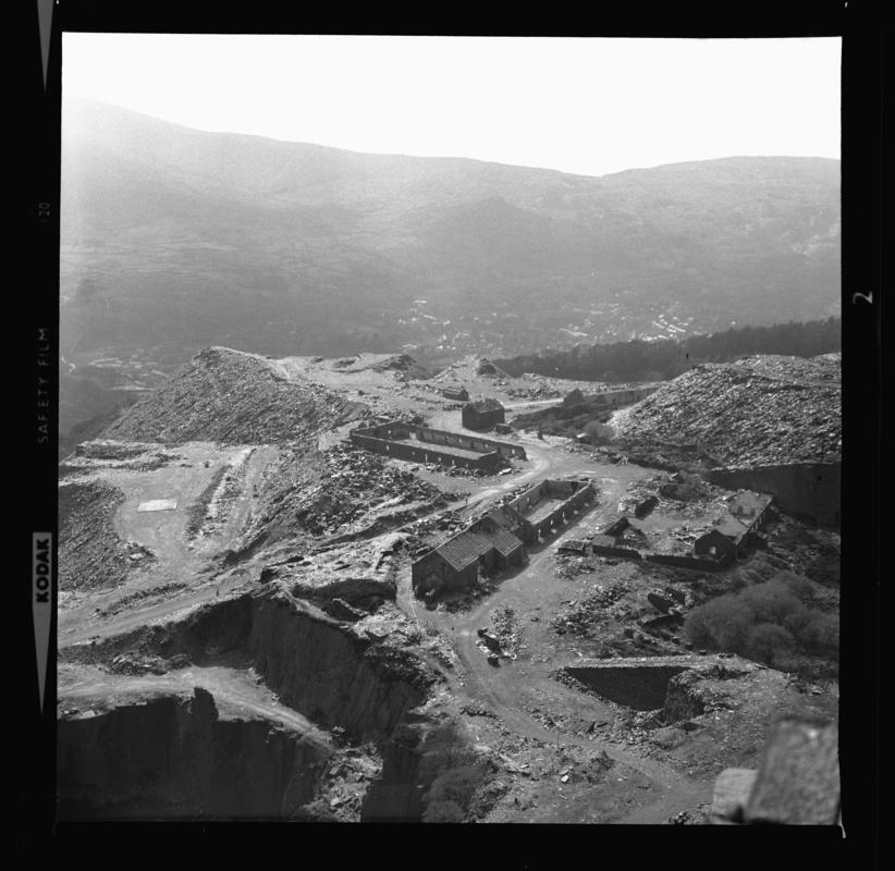 Photograph taken during a &#039;nature trail&#039; around Dinorwig Quarry, April 1976.



2014.35/197-200 appear on the same strip negative.