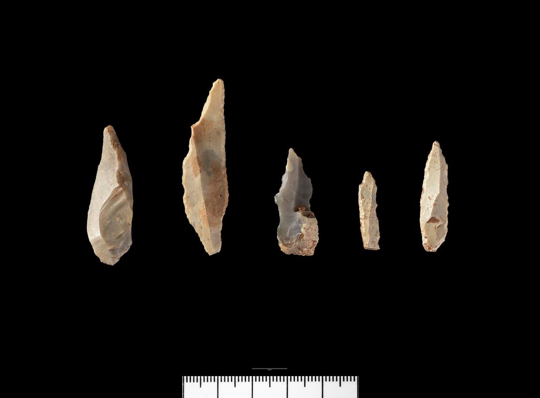 Early Mesolithic flint meche de foret