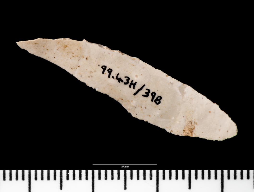 Early Mesolithic flint microlith