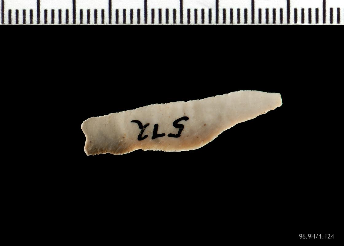 Late Mesolithic flint microlith