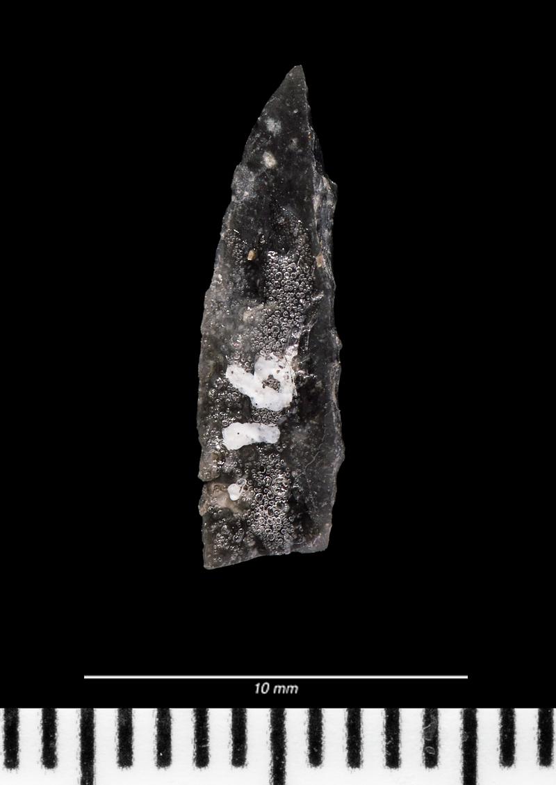 Mesolithic chert microlith