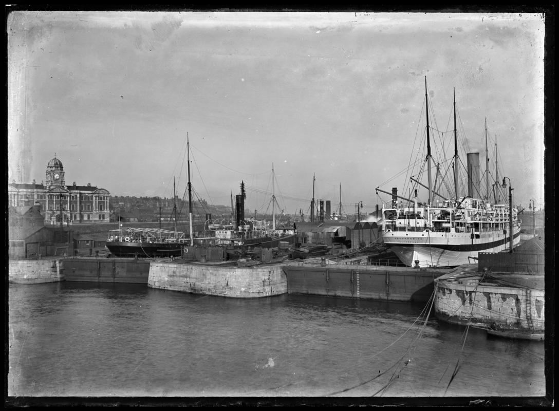 Barry, Glass Plate Negative - (Positive inversion copy)