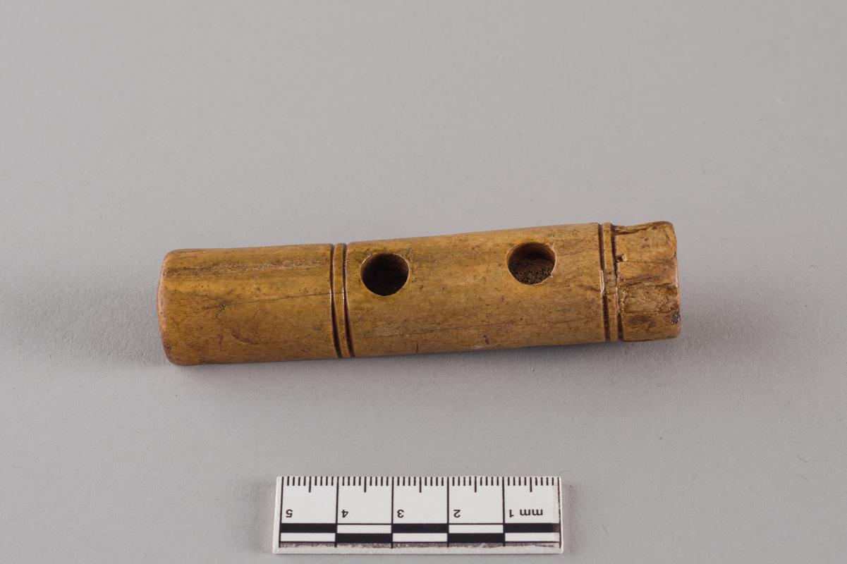 Roman bone hinge