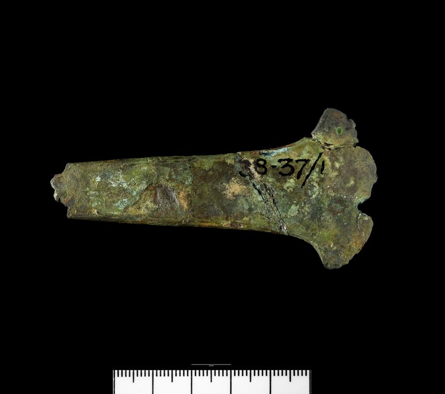 Early Bronze Age bronze developed flat axe