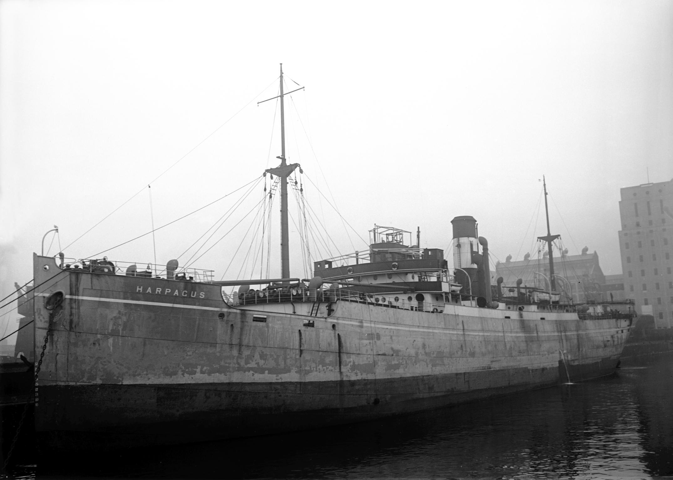 S.S. HARPACUS, glass negative
