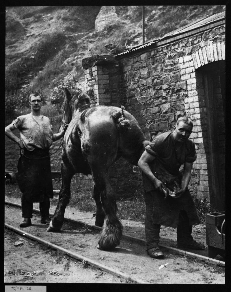 Shoeing the Pit Pony, Tylorstown No9
