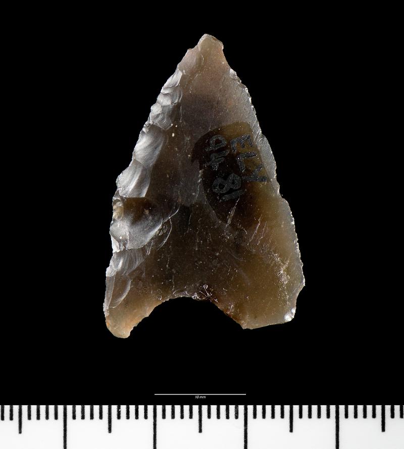 Neolithic flint oblique arrowhead