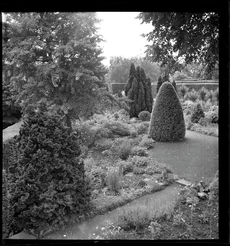Dyffryn House and Gardens, film negative