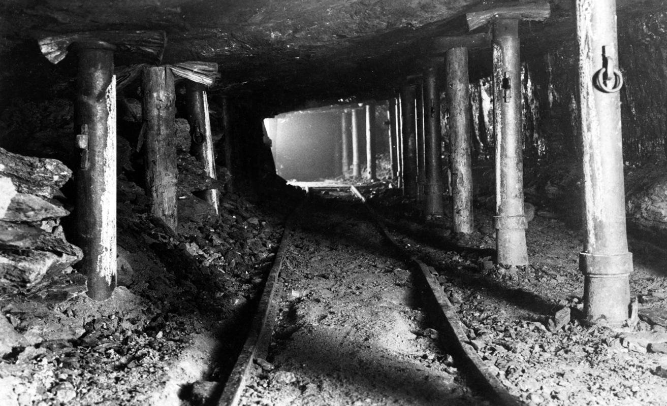 Photograph (digital)