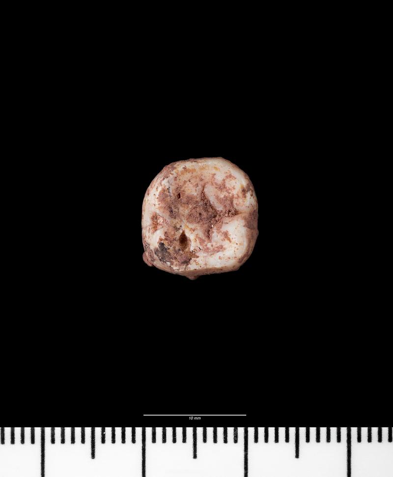 Iron Age / Roman human remains