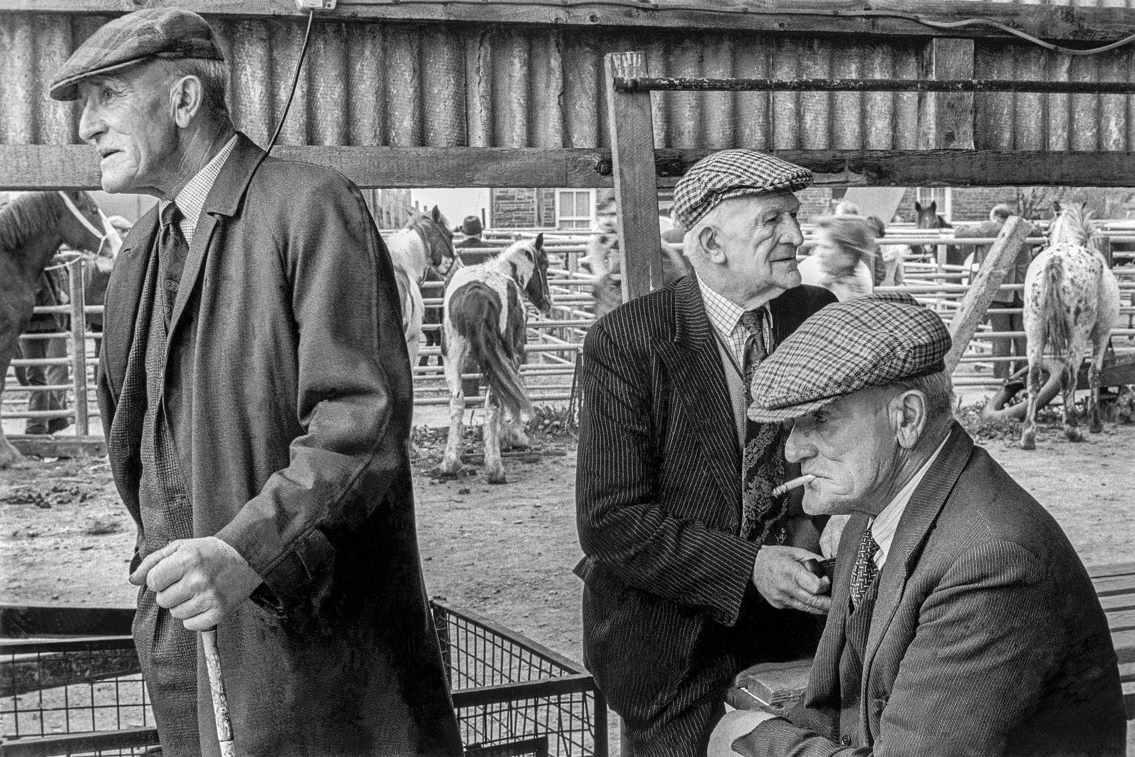 Farmers at the Llanybyther Horse Sales. Llanybyther, Wales