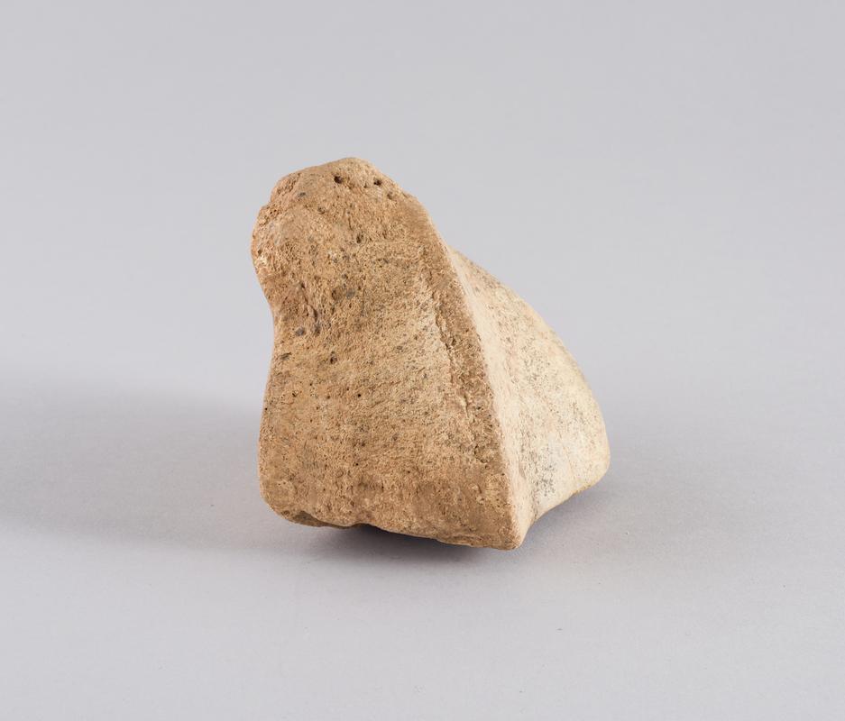 Pleistocene mammoth bone