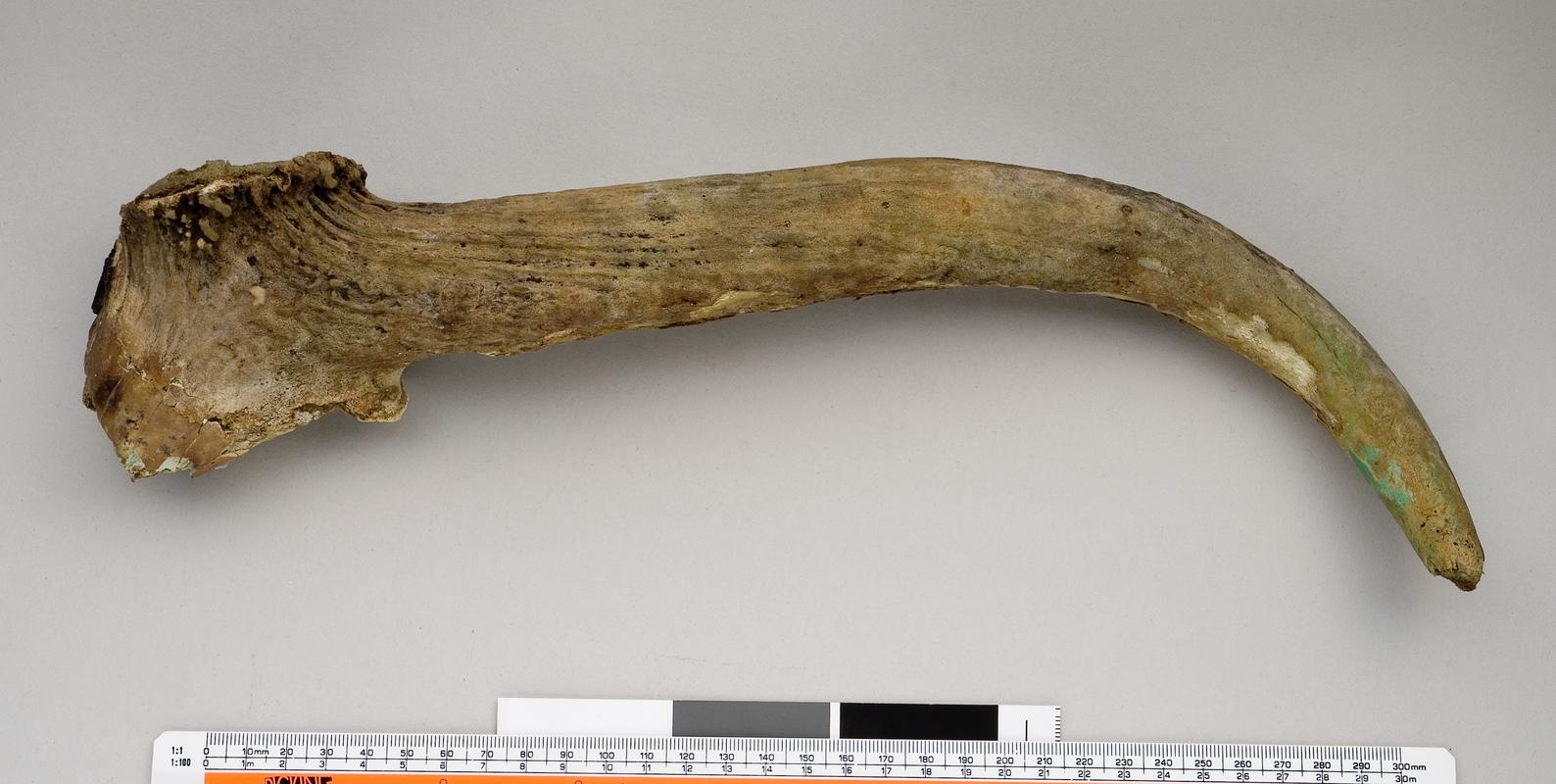 Early Bronze Age antler pick