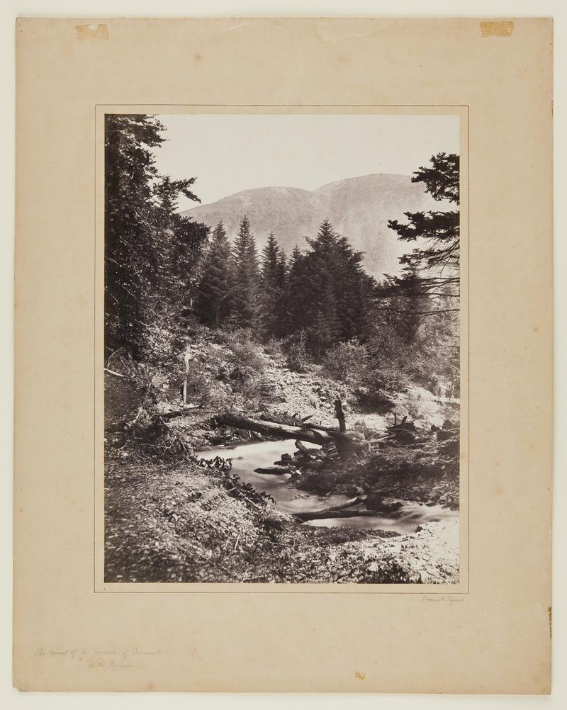 The torrent of the Cascade of Demoiselles in the Pyrenees (photo)