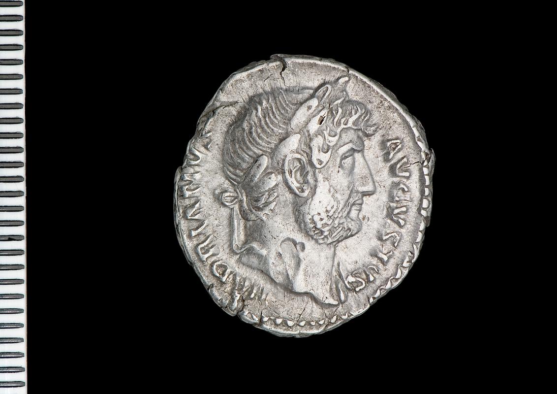 silver denarius (obv.)