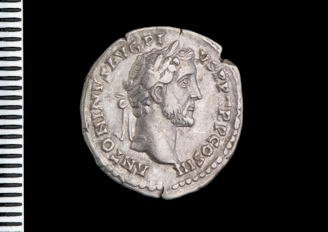 silver denarius (obv.)