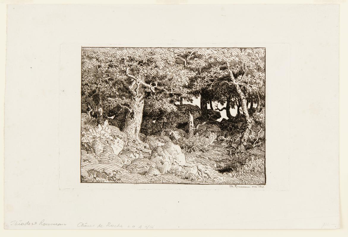Oak trees growing among rocks