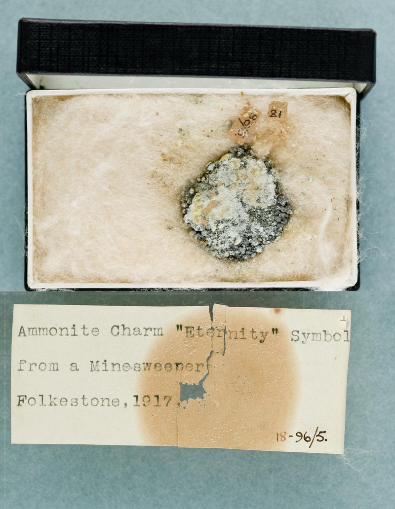 Ammonite charm