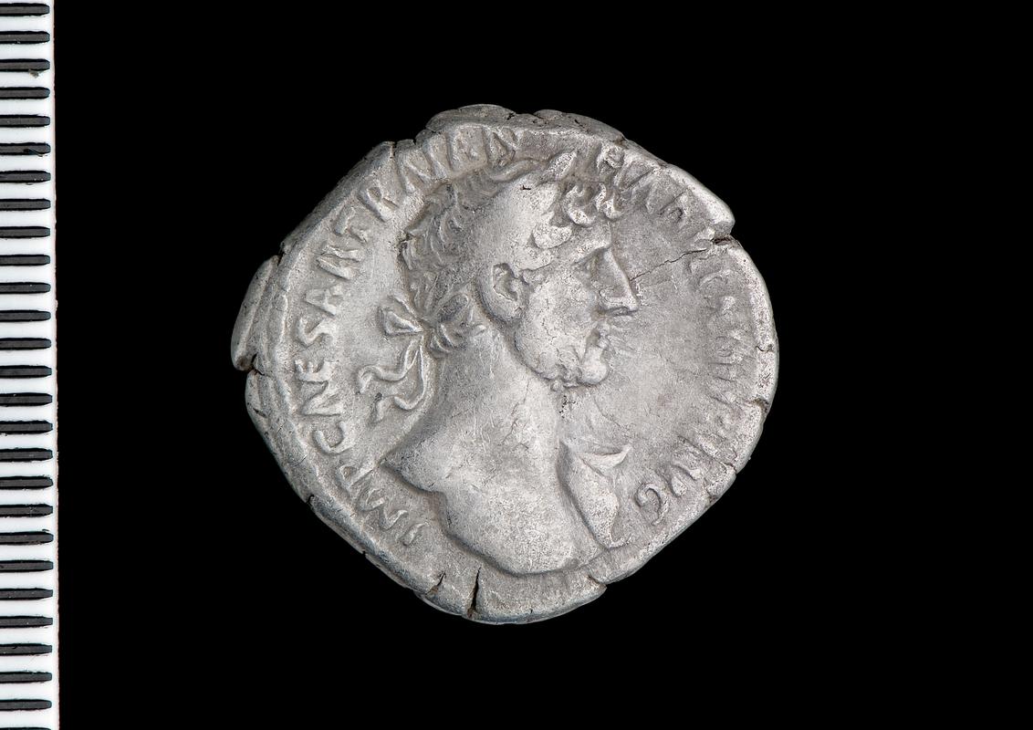 silver denarius (obv.)