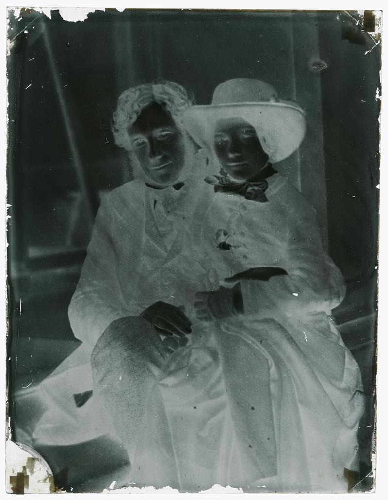 Lewis Llewelyn Dillwyn, glass negative