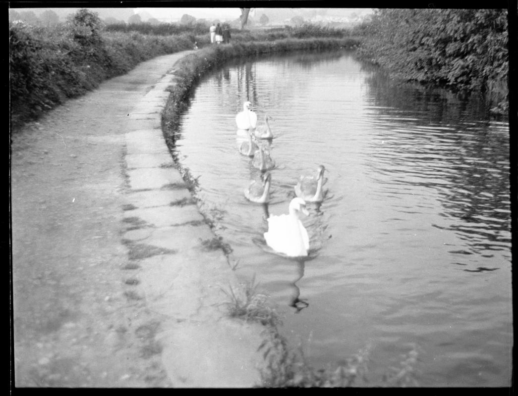 Glamorganshire Canal, negative