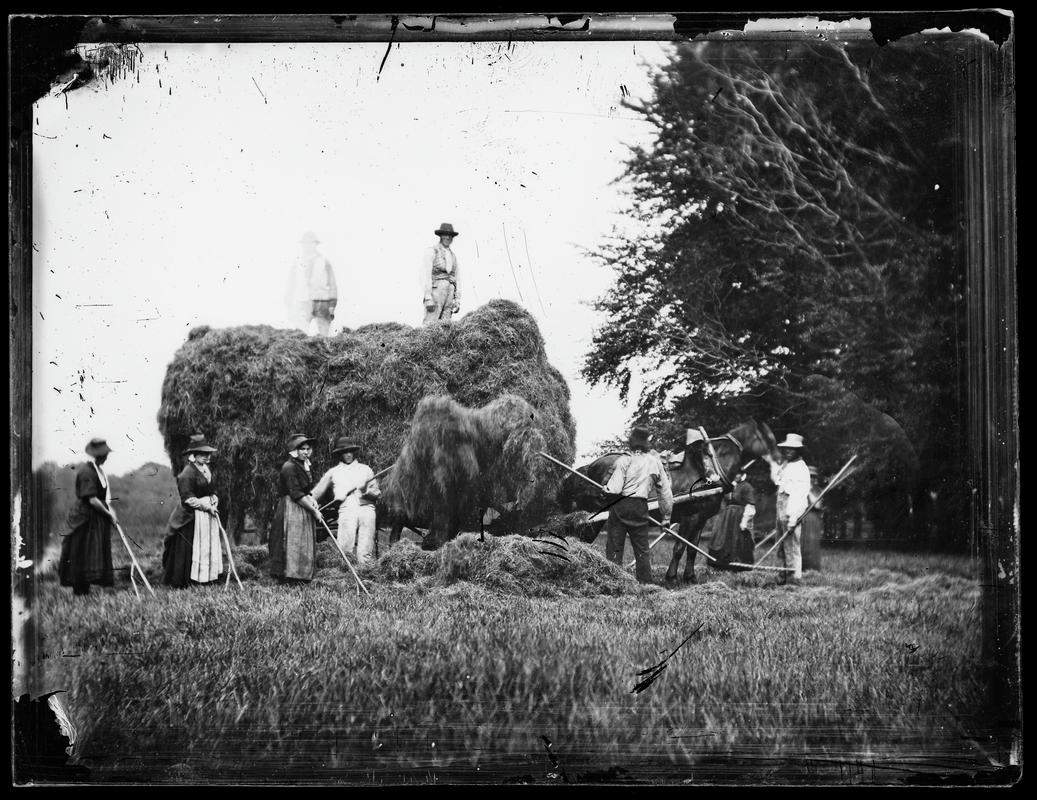 Haymakers, glass negative