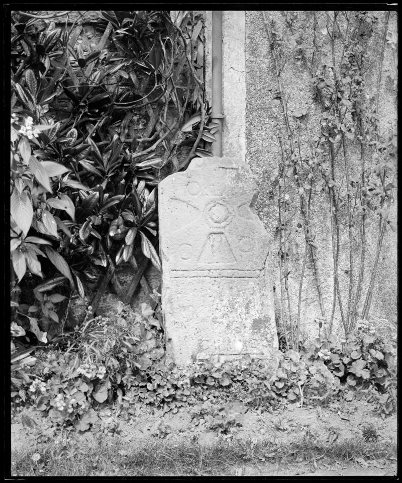 Photographic Negative