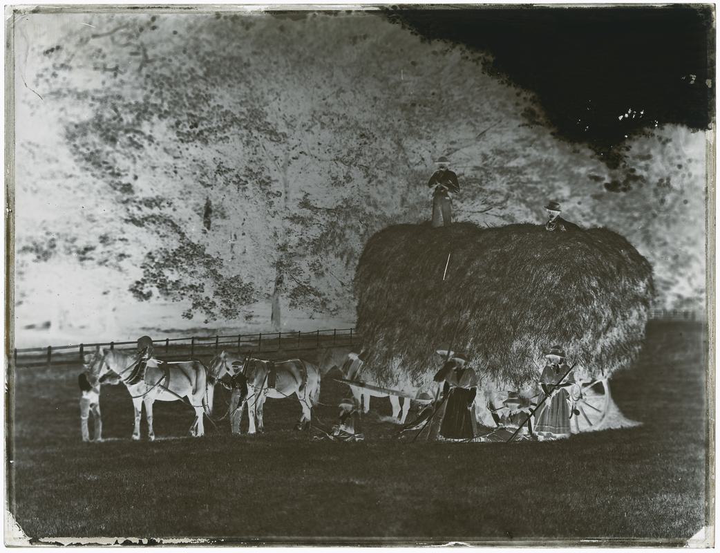 Haymakers, glass negative