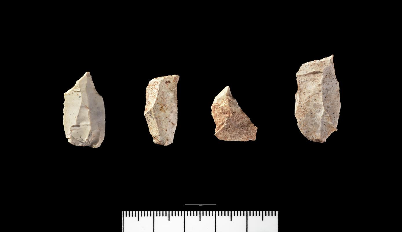 Later Mesolithic flint bec