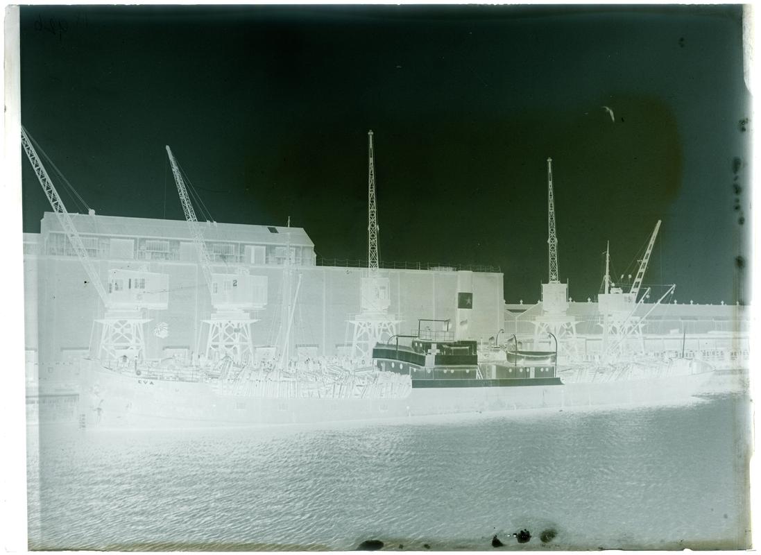 S.S. EVA, glass negative