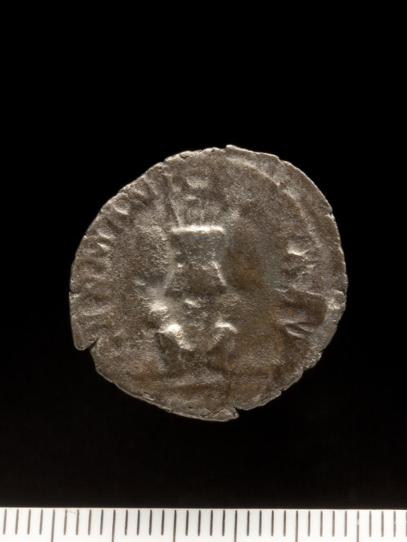 Sully Hoard I (1899)