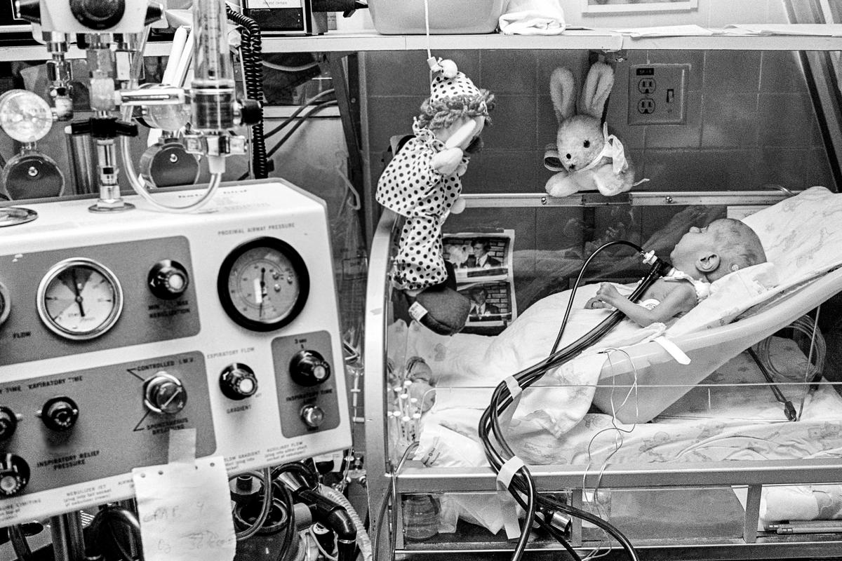 Preemie Baby unit at St Joseph&#039;s Hospital. Baby in I.C.U. with breathing tube inserted into his trachea, surrounded by stuffed animals bought by relatives and nurses. Phoenix, Arizona USA